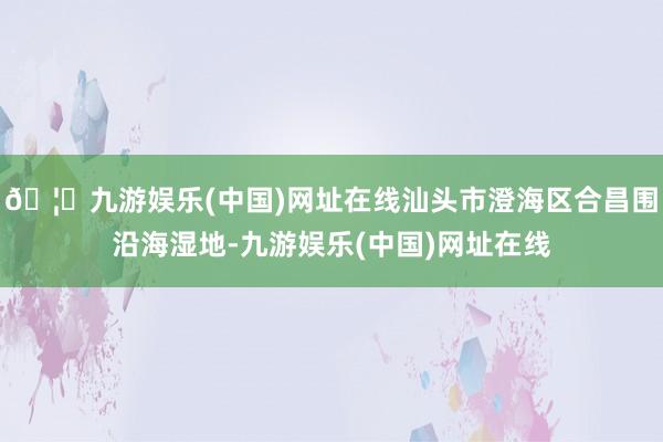 🦄九游娱乐(中国)网址在线汕头市澄海区合昌围沿海湿地-九游娱乐(中国)网址在线