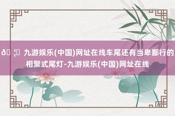 🦄九游娱乐(中国)网址在线车尾还有当卑鄙行的相聚式尾灯-九游娱乐(中国)网址在线