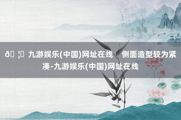 🦄九游娱乐(中国)网址在线    侧面造型较为紧凑-九游娱乐(中国)网址在线