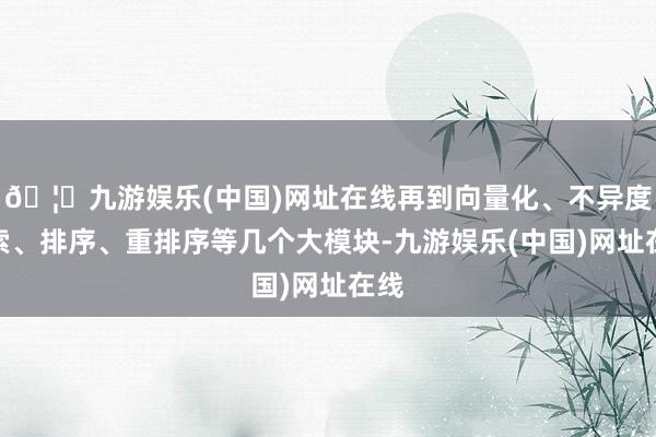🦄九游娱乐(中国)网址在线再到向量化、不异度检索、排序、重排序等几个大模块-九游娱乐(中国)网址在线