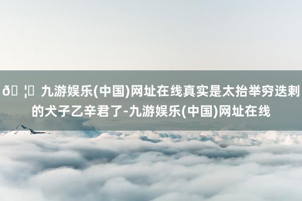 🦄九游娱乐(中国)网址在线真实是太抬举穷迭剌的犬子乙辛君了-九游娱乐(中国)网址在线