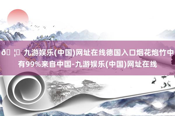 🦄九游娱乐(中国)网址在线德国入口烟花炮竹中有99%来自中国-九游娱乐(中国)网址在线