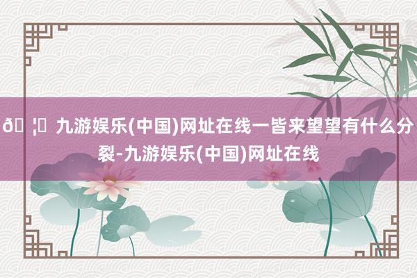 🦄九游娱乐(中国)网址在线一皆来望望有什么分裂-九游娱乐(中国)网址在线