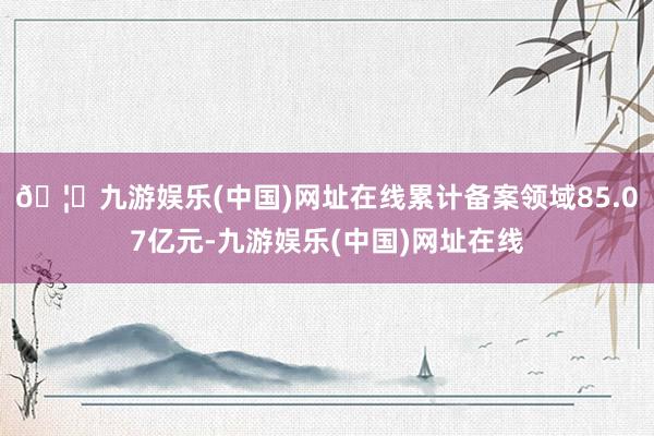 🦄九游娱乐(中国)网址在线累计备案领域85.07亿元-九游娱乐(中国)网址在线