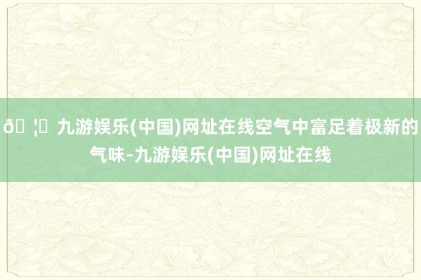 🦄九游娱乐(中国)网址在线空气中富足着极新的气味-九游娱乐(中国)网址在线