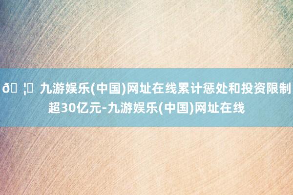🦄九游娱乐(中国)网址在线累计惩处和投资限制超30亿元-九游娱乐(中国)网址在线