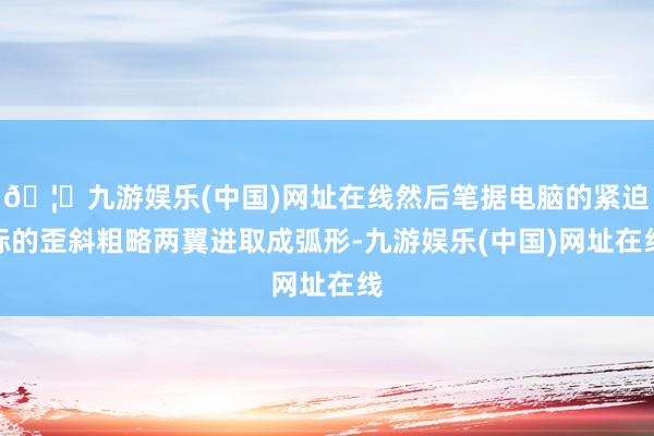 🦄九游娱乐(中国)网址在线然后笔据电脑的紧迫标的歪斜粗略两翼进取成弧形-九游娱乐(中国)网址在线