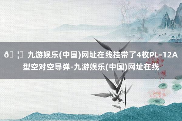 🦄九游娱乐(中国)网址在线挂带了4枚PL-12A型空对空导弹-九游娱乐(中国)网址在线