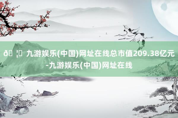 🦄九游娱乐(中国)网址在线总市值209.38亿元-九游娱乐(中国)网址在线