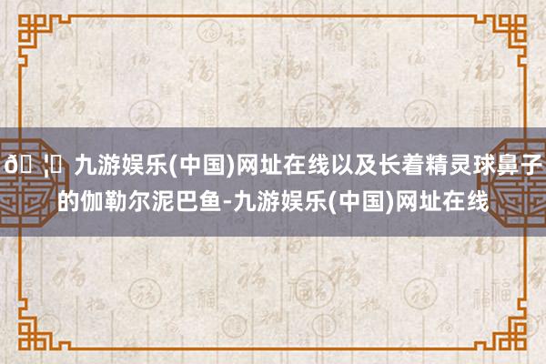 🦄九游娱乐(中国)网址在线以及长着精灵球鼻子的伽勒尔泥巴鱼-九游娱乐(中国)网址在线