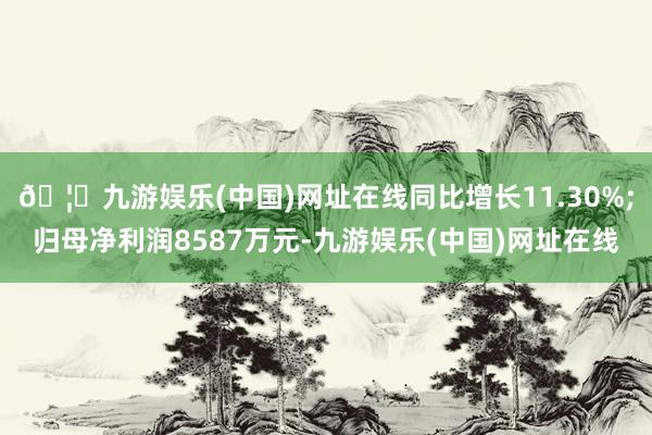 🦄九游娱乐(中国)网址在线同比增长11.30%;归母净利润8587万元-九游娱乐(中国)网址在线
