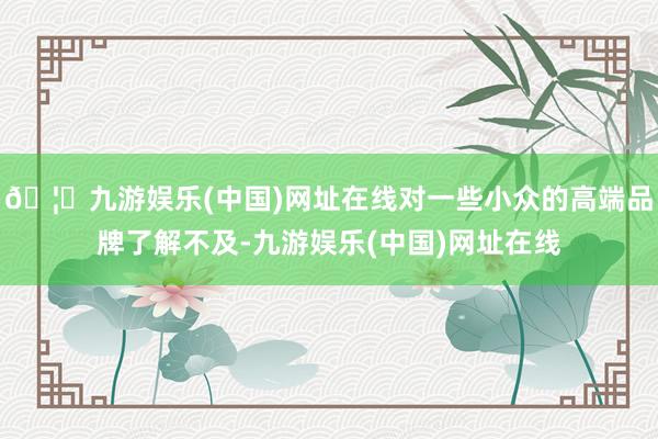 🦄九游娱乐(中国)网址在线对一些小众的高端品牌了解不及-九游娱乐(中国)网址在线