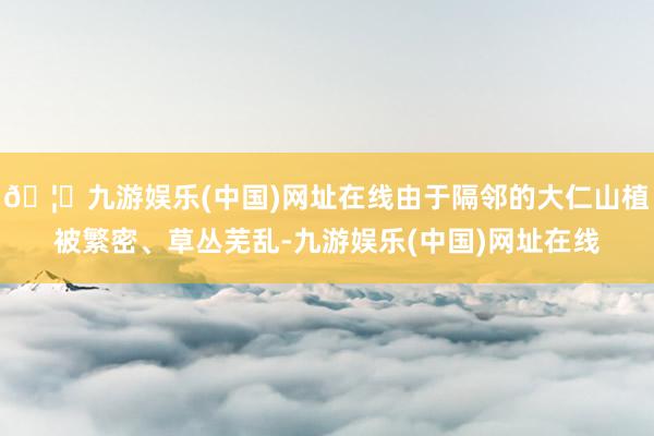 🦄九游娱乐(中国)网址在线由于隔邻的大仁山植被繁密、草丛芜乱-九游娱乐(中国)网址在线