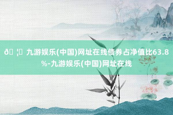 🦄九游娱乐(中国)网址在线债券占净值比63.8%-九游娱乐(中国)网址在线