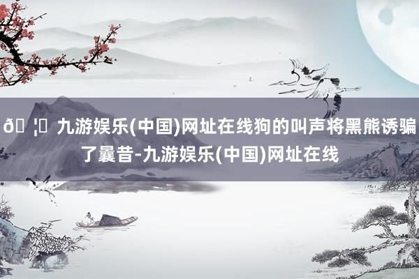 🦄九游娱乐(中国)网址在线狗的叫声将黑熊诱骗了曩昔-九游娱乐(中国)网址在线