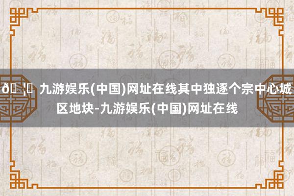 🦄九游娱乐(中国)网址在线其中独逐个宗中心城区地块-九游娱乐(中国)网址在线