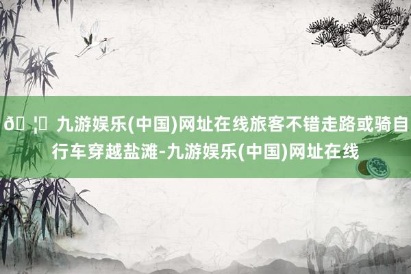 🦄九游娱乐(中国)网址在线旅客不错走路或骑自行车穿越盐滩-九游娱乐(中国)网址在线