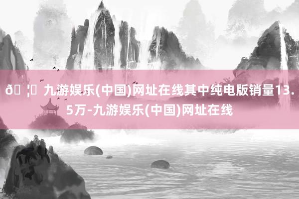 🦄九游娱乐(中国)网址在线其中纯电版销量13.5万-九游娱乐(中国)网址在线
