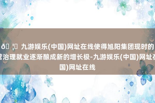 🦄九游娱乐(中国)网址在线使得旭阳集团现时的运营治理就业逐渐酿成新的增长极-九游娱乐(中国)网址在线
