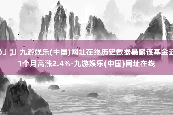 🦄九游娱乐(中国)网址在线历史数据暴露该基金近1个月高涨2.4%-九游娱乐(中国)网址在线
