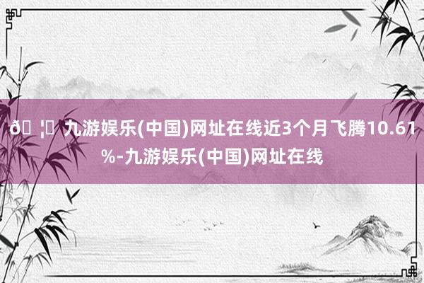 🦄九游娱乐(中国)网址在线近3个月飞腾10.61%-九游娱乐(中国)网址在线