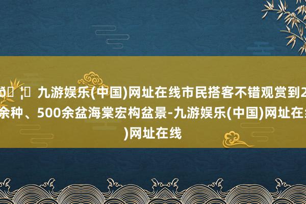 🦄九游娱乐(中国)网址在线市民搭客不错观赏到20余种、500余盆海棠宏构盆景-九游娱乐(中国)网址在线
