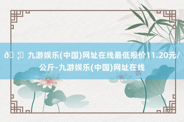 🦄九游娱乐(中国)网址在线最低报价11.20元/公斤-九游娱乐(中国)网址在线