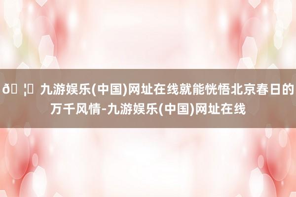 🦄九游娱乐(中国)网址在线就能恍悟北京春日的万千风情-九游娱乐(中国)网址在线