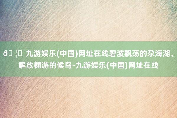 🦄九游娱乐(中国)网址在线碧波飘荡的尕海湖、解放翱游的候鸟-九游娱乐(中国)网址在线