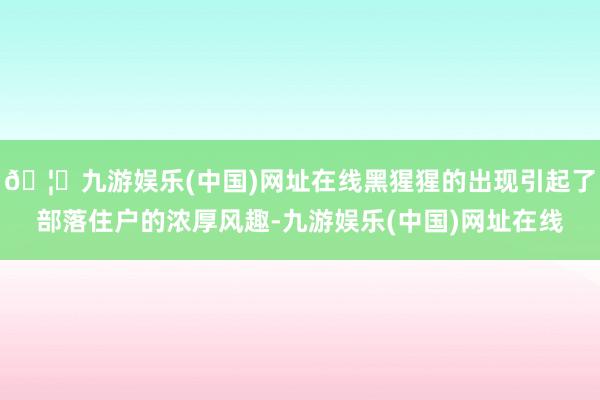 🦄九游娱乐(中国)网址在线黑猩猩的出现引起了部落住户的浓厚风趣-九游娱乐(中国)网址在线