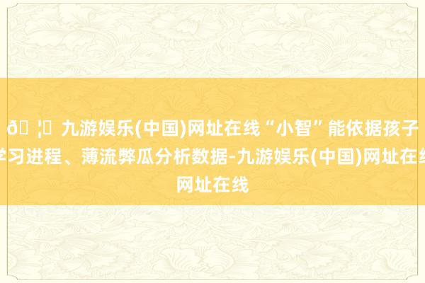 🦄九游娱乐(中国)网址在线“小智”能依据孩子学习进程、薄流弊瓜分析数据-九游娱乐(中国)网址在线