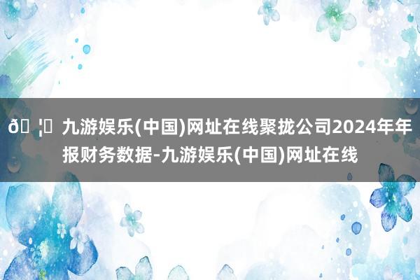 🦄九游娱乐(中国)网址在线聚拢公司2024年年报财务数据-九游娱乐(中国)网址在线
