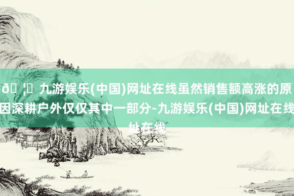 🦄九游娱乐(中国)网址在线虽然销售额高涨的原因深耕户外仅仅其中一部分-九游娱乐(中国)网址在线