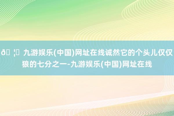 🦄九游娱乐(中国)网址在线诚然它的个头儿仅仅狼的七分之一-九游娱乐(中国)网址在线