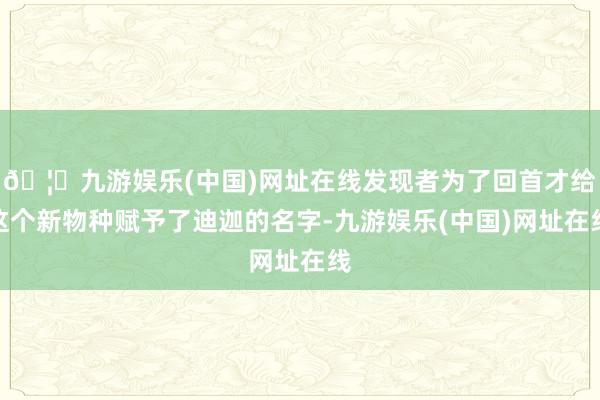 🦄九游娱乐(中国)网址在线发现者为了回首才给这个新物种赋予了迪迦的名字-九游娱乐(中国)网址在线