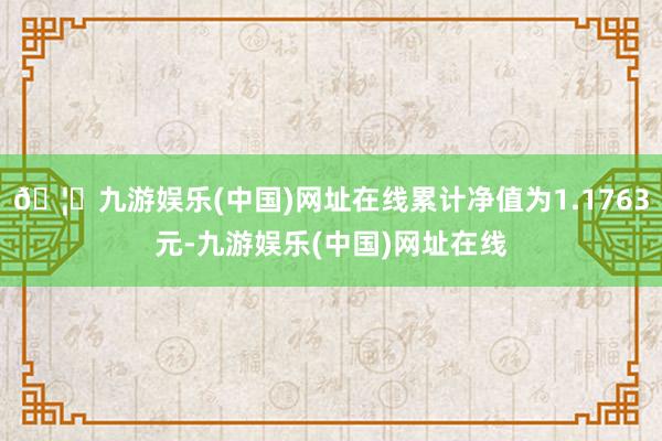 🦄九游娱乐(中国)网址在线累计净值为1.1763元-九游娱乐(中国)网址在线