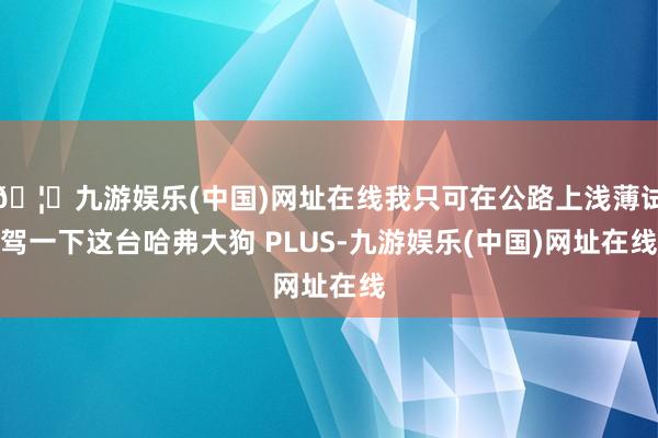 🦄九游娱乐(中国)网址在线我只可在公路上浅薄试驾一下这台哈弗大狗 PLUS-九游娱乐(中国)网址在线