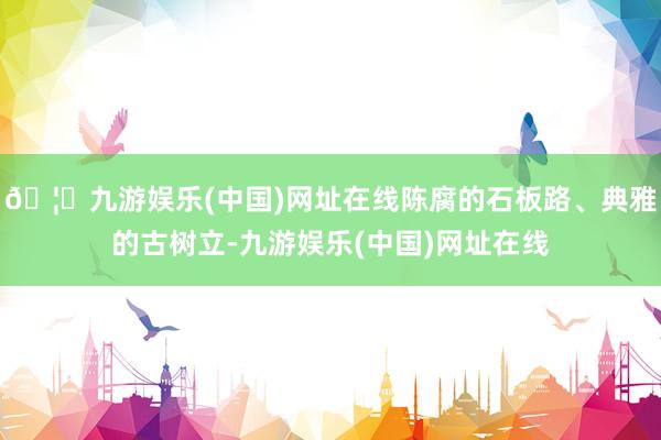 🦄九游娱乐(中国)网址在线陈腐的石板路、典雅的古树立-九游娱乐(中国)网址在线