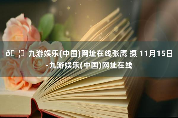 🦄九游娱乐(中国)网址在线张鹰 摄 11月15日-九游娱乐(中国)网址在线