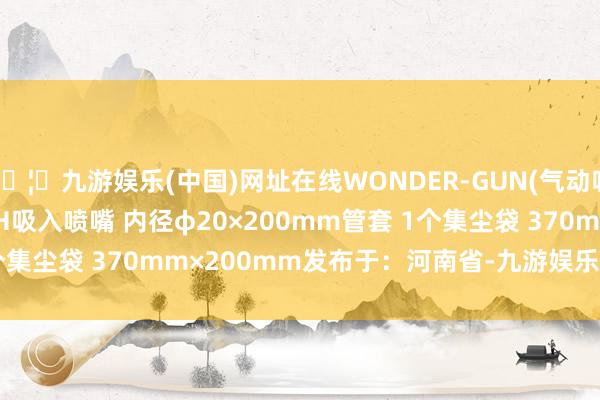 🦄九游娱乐(中国)网址在线WONDER-GUN(气动吸尘枪) W101-III-TH吸入喷嘴 内径φ20×200mm管套 1个集尘袋 370mm×200mm发布于：河南省-九游娱乐(中国)网址在线