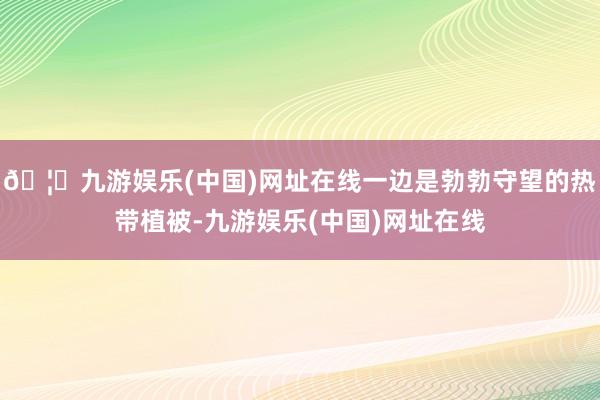 🦄九游娱乐(中国)网址在线一边是勃勃守望的热带植被-九游娱乐(中国)网址在线
