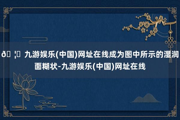 🦄九游娱乐(中国)网址在线成为图中所示的湿润面糊状-九游娱乐(中国)网址在线