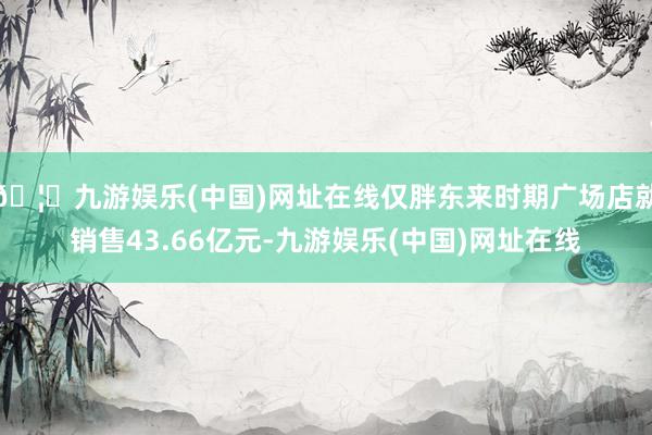 🦄九游娱乐(中国)网址在线仅胖东来时期广场店就销售43.66亿元-九游娱乐(中国)网址在线