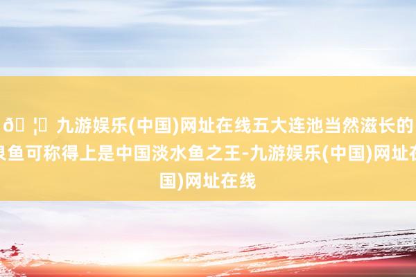 🦄九游娱乐(中国)网址在线五大连池当然滋长的矿泉鱼可称得上是中国淡水鱼之王-九游娱乐(中国)网址在线