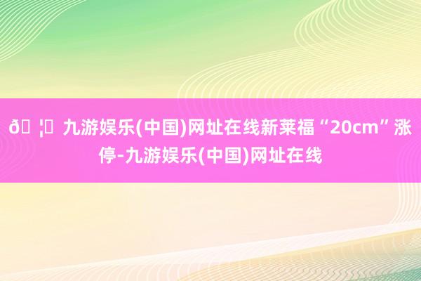 🦄九游娱乐(中国)网址在线新莱福“20cm”涨停-九游娱乐(中国)网址在线