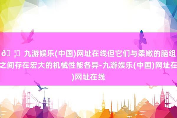 🦄九游娱乐(中国)网址在线但它们与柔嫩的脑组织之间存在宏大的机械性能各异-九游娱乐(中国)网址在线