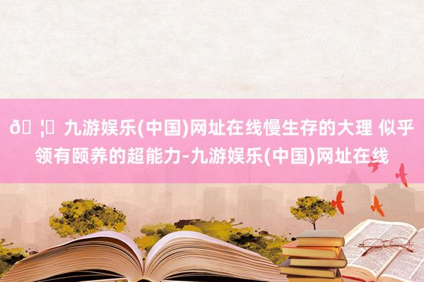 🦄九游娱乐(中国)网址在线慢生存的大理 似乎领有颐养的超能力-九游娱乐(中国)网址在线