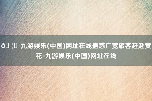 🦄九游娱乐(中国)网址在线蛊惑广宽旅客赶赴赏花-九游娱乐(中国)网址在线