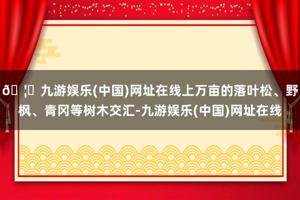🦄九游娱乐(中国)网址在线上万亩的落叶松、野枫、青冈等树木交汇-九游娱乐(中国)网址在线