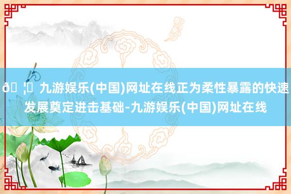 🦄九游娱乐(中国)网址在线正为柔性暴露的快速发展奠定进击基础-九游娱乐(中国)网址在线